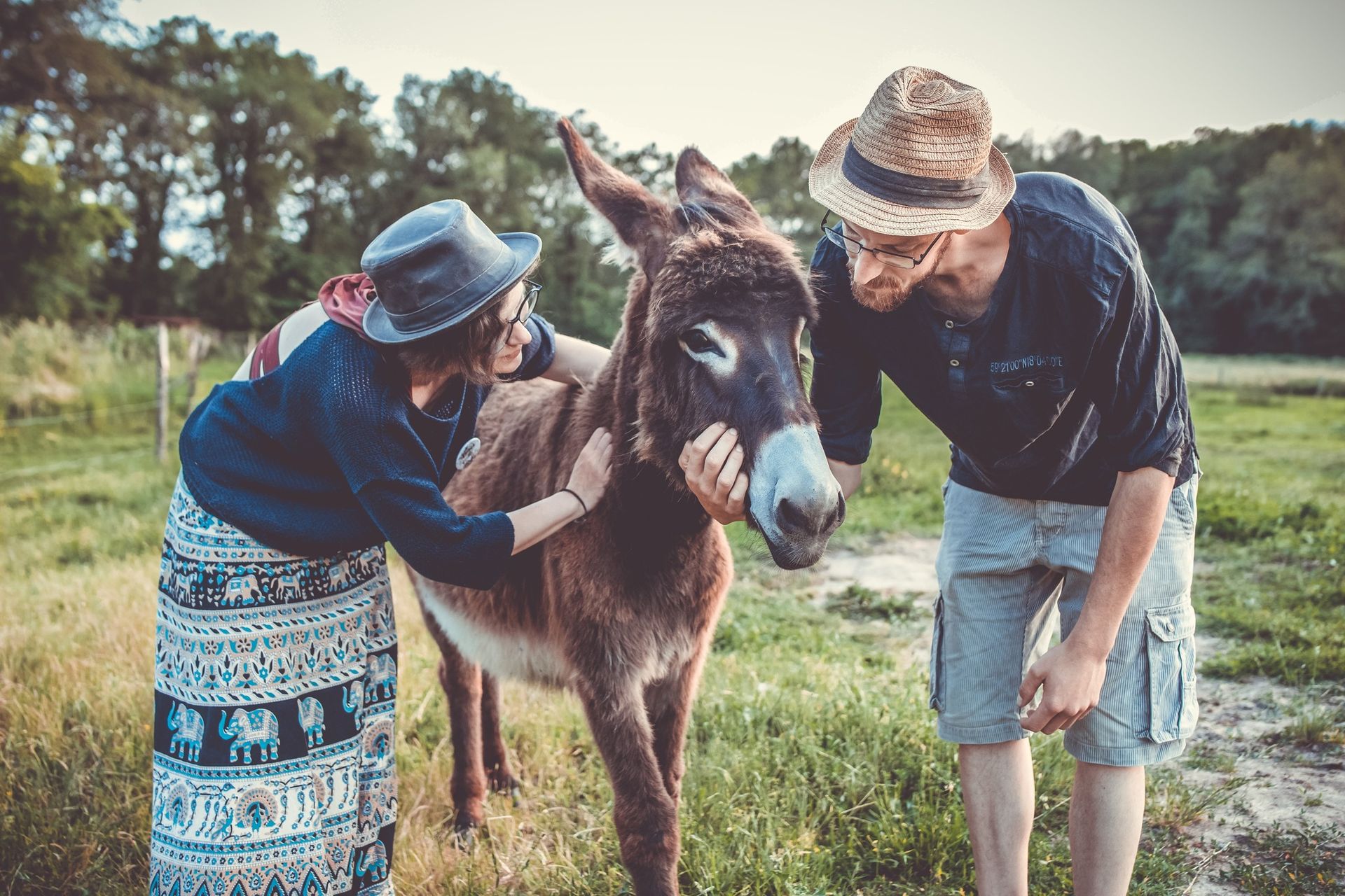 Acheter en ligne Acheter en ligne