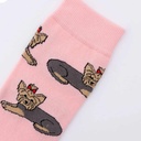 Coucou Suzette - Chaussettes Yorkshire