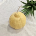  Bougies duo citron jaune