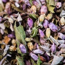 Tisane