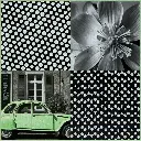 Little Oh - Echarpe 01