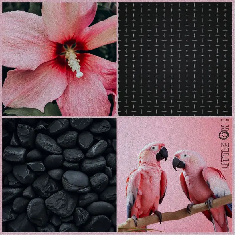 Little Oh - Echarpe 01