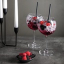 Verre à Gin Tonic