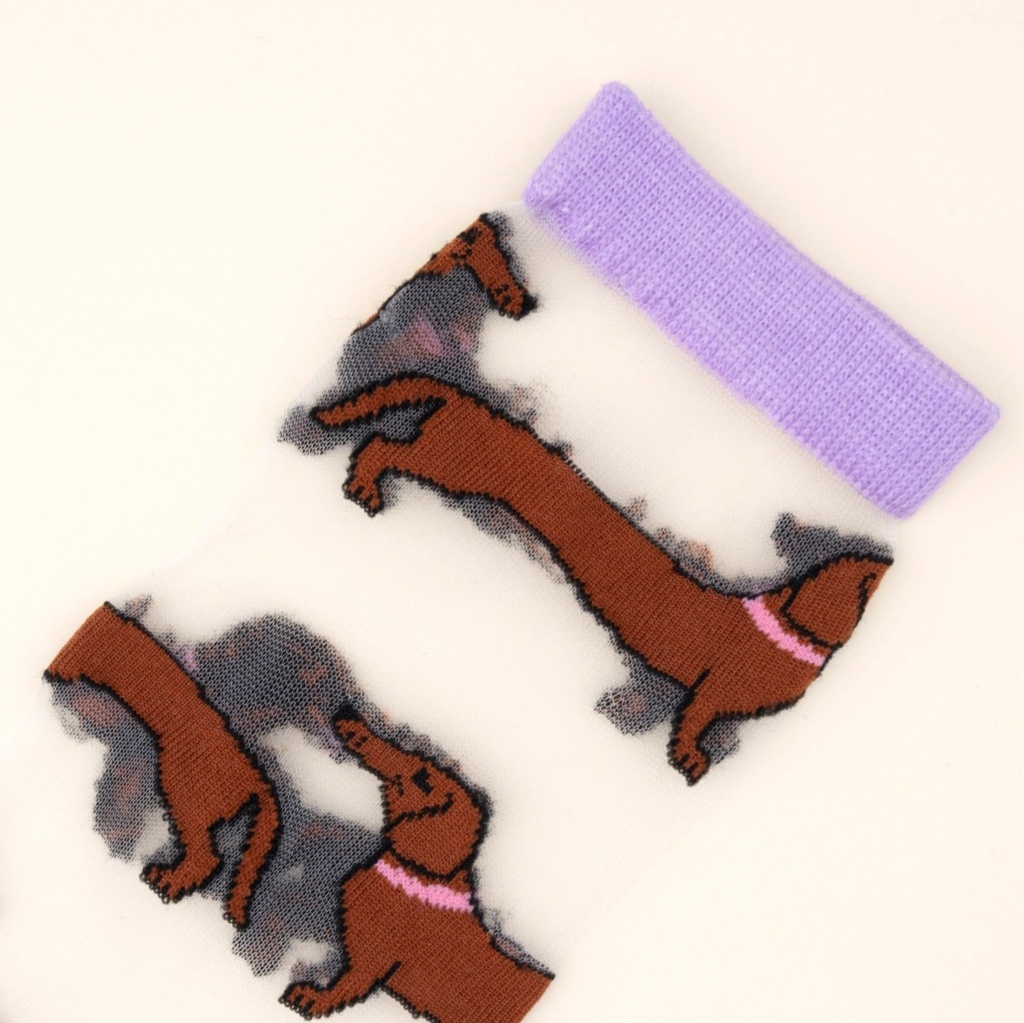 Chaussettes transparentes teckel Coucou Suzette – Chaussettes femme originales