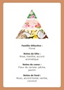 Bougie artisanale parfumée Fleurs de Cerisier – Cire végétale & Végan – Lynie