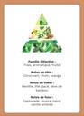 Fondant parfumé « Mojito » – Lynie