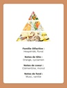 Fondant parfumé « Clémentine & Monoï » – Lynie