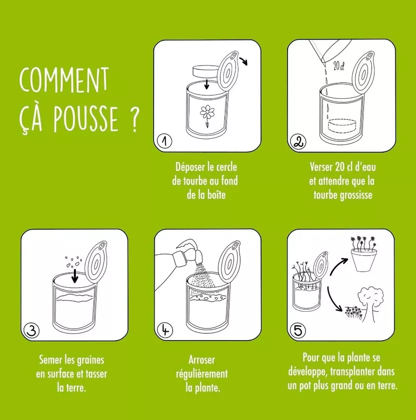 super instituteur.webp