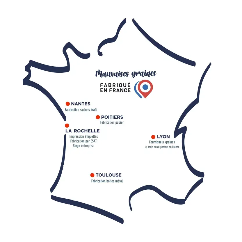 fabrication mauvaises graines.webp