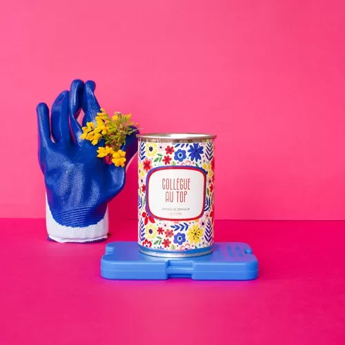 collègue au top.webp