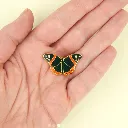 pin's papillon coucou suzette.webp