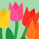 tulipes eventail.webp