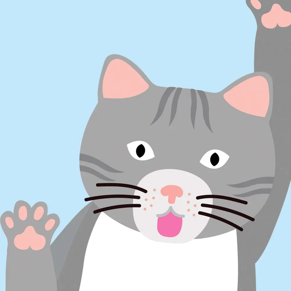 chats éventail.webp