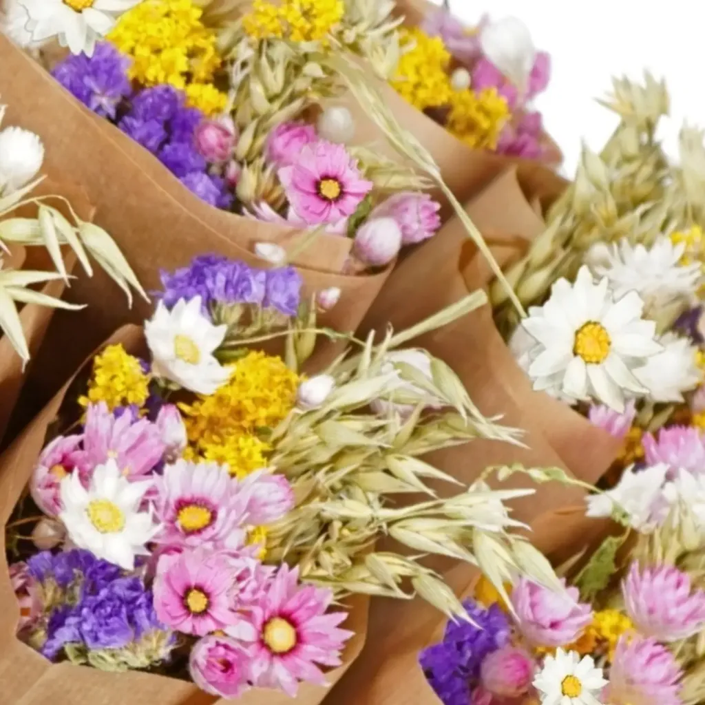 floriette fleurs séchées.webp