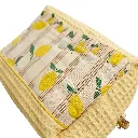 arrière trousse citrons.webp
