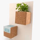 Life in a bag - Grow cube aimanté Coriandre