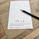 Life in a bag - Carte postale à planter