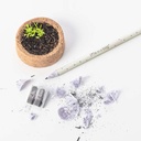 Life in a bag - Crayon à planter