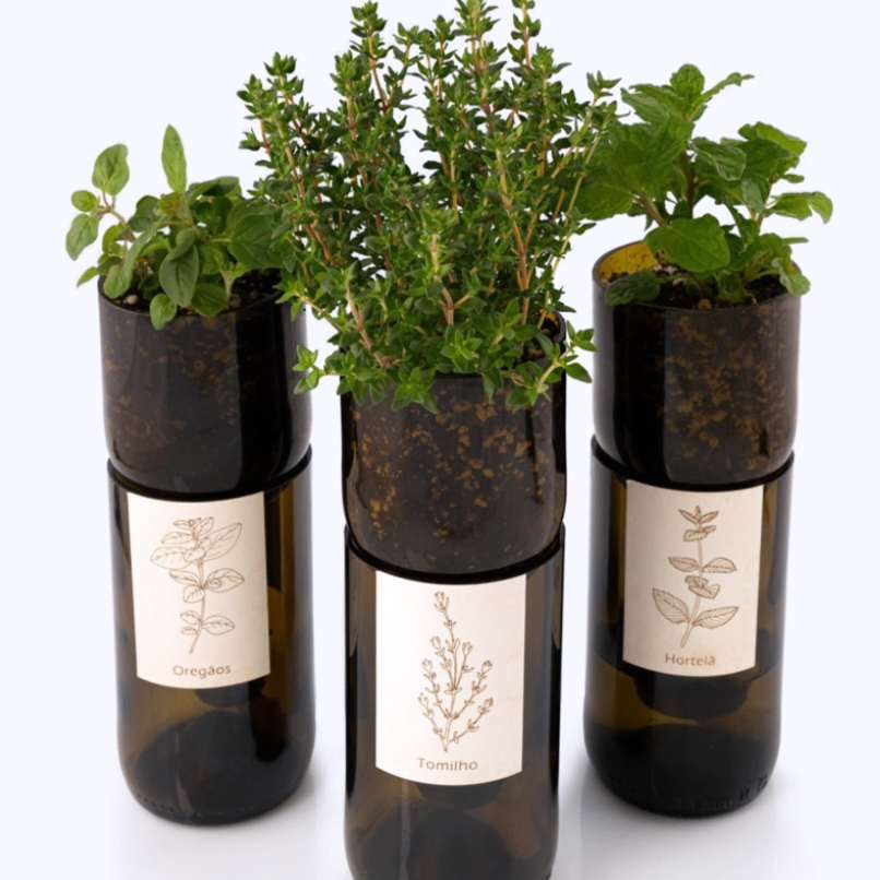 Life in a bag - Grow bottle Basilic