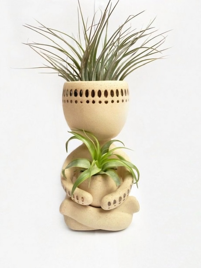 Bonhomme zen air plants