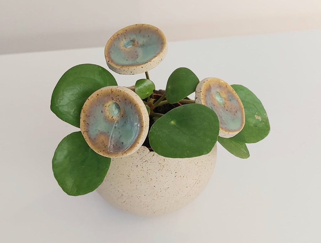 Christine Brassine - bijoux de plante Piléa