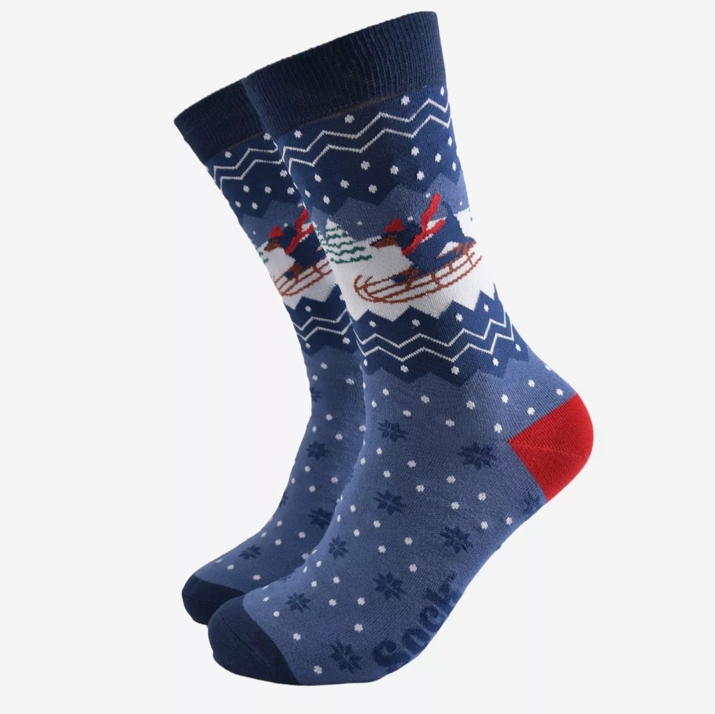 Chaussettes en bambou pour hommes - bleu, teckel sur luge