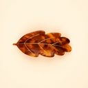 Coucou Suzette - French barrette à cheveux- feuille