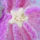 Bombe de bain Little Star