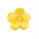 Mini pince bouton d'or - Coucou Suzette