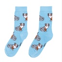 Coucou Suzette - Chaussettes Berger australien