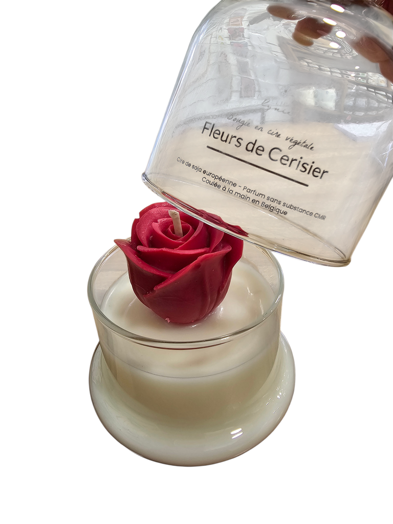 Bougie artisanale sous cloche Fleurs de Cerisier – Cire végétale végan – Lynie