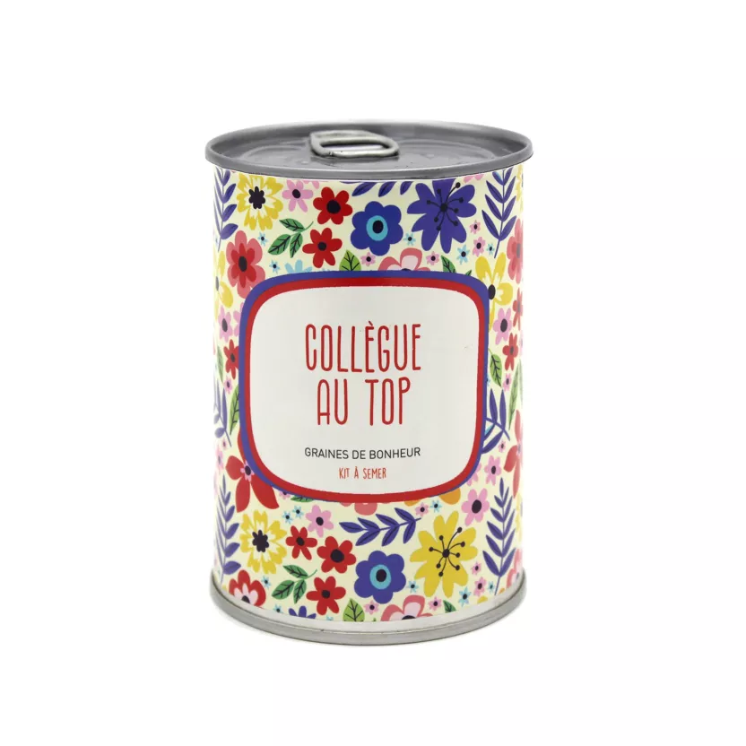 Kit à semer “Collègue au Top” – Cadeau original collègue | Fabriqué en France – Mauvaises Graines