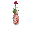 Coton flower vase roses