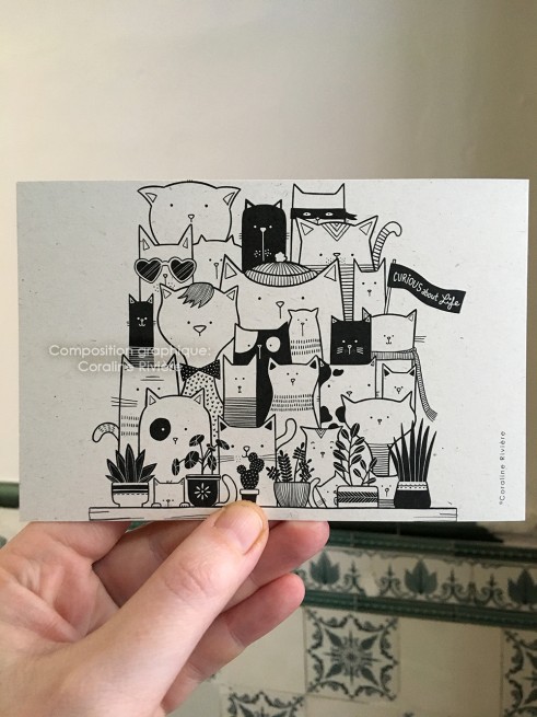 Coraï - Chats curieux