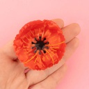 Coucou Suzette - Pince à cheveux Coquelicot