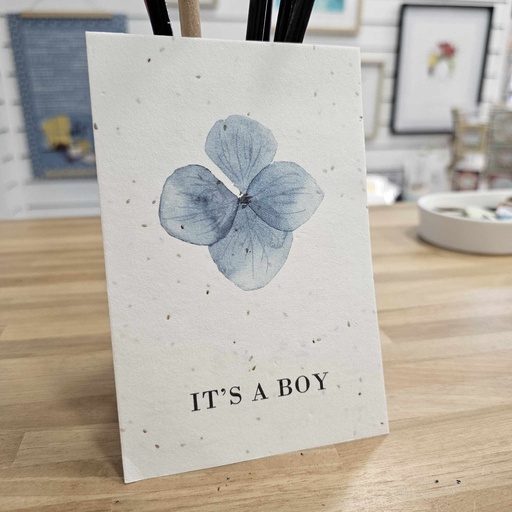 Life in a bag - Carte postale à planter "It's a boy"